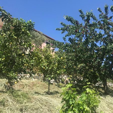 Villa Teresa 卡萨察利古勒 外观 照片