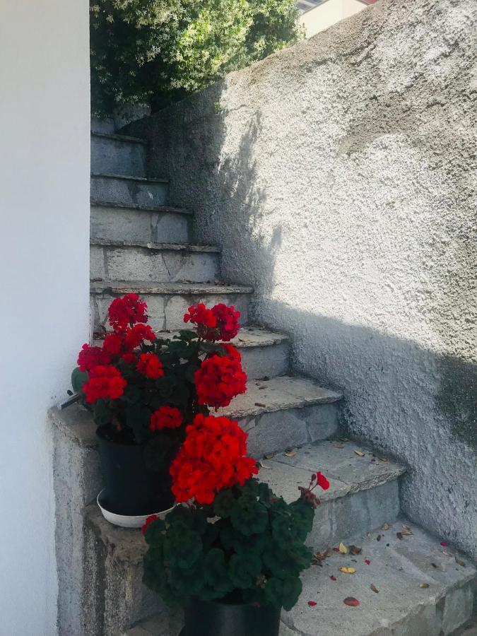 Villa Teresa 卡萨察利古勒 外观 照片