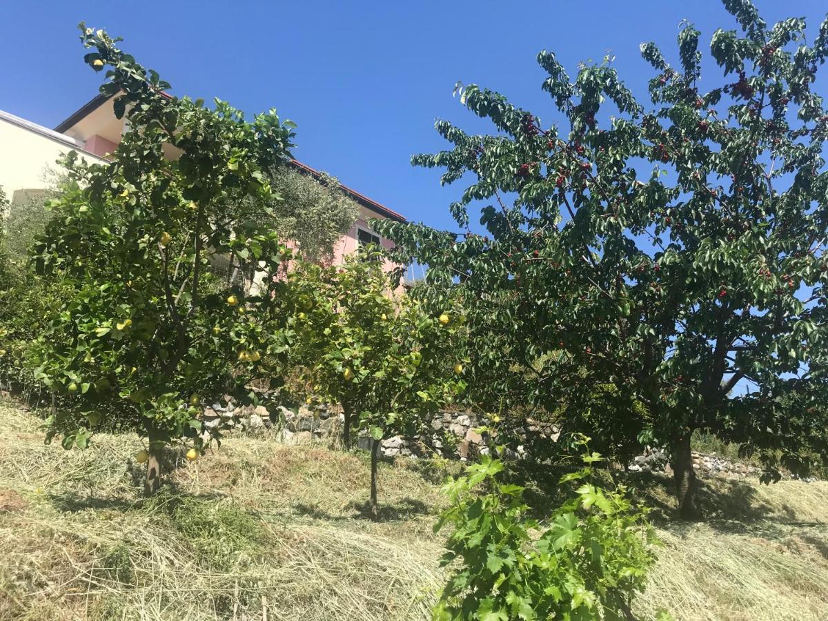 Villa Teresa 卡萨察利古勒 外观 照片