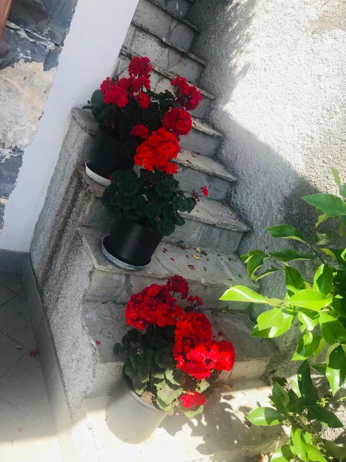 Villa Teresa 卡萨察利古勒 外观 照片
