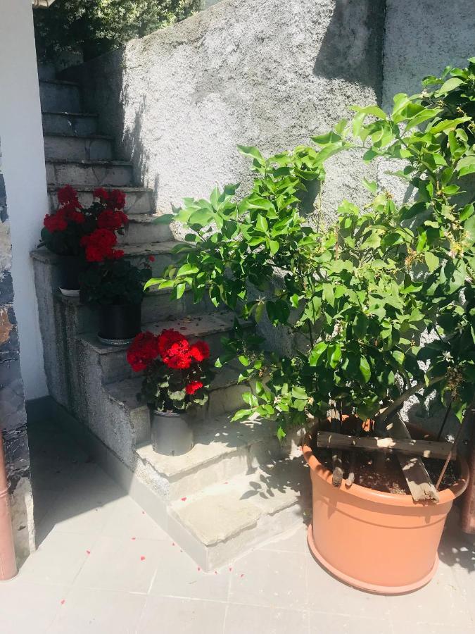 Villa Teresa 卡萨察利古勒 外观 照片
